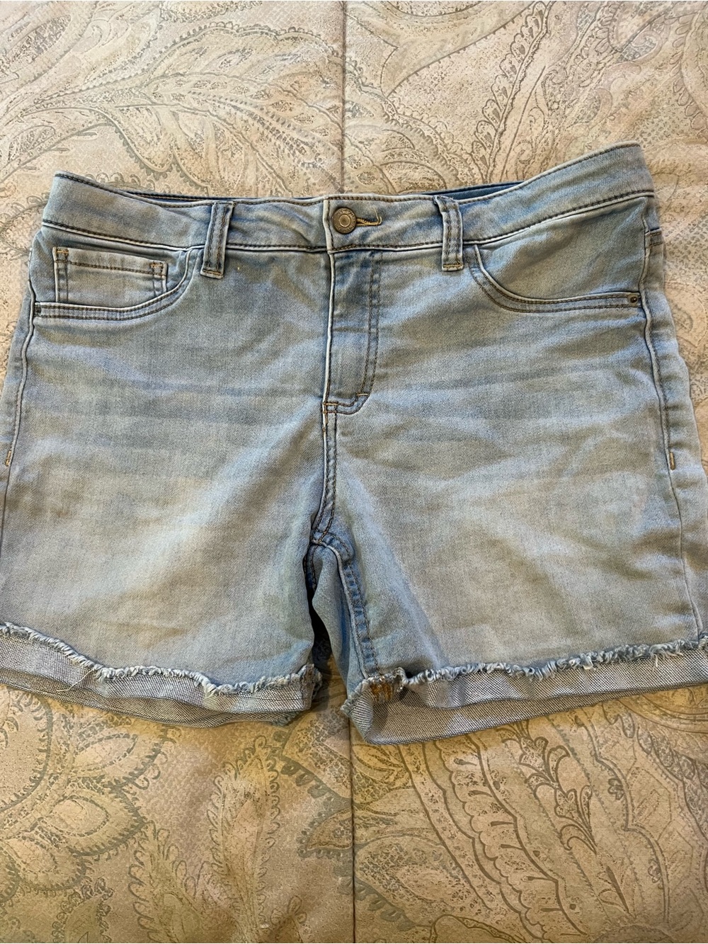 Light Blue Frayed Hem Denim Shorts - Women's Casual Jean Shorts